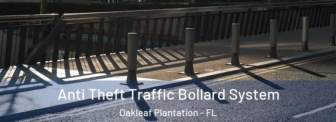 Anti Theft Traffic Bollard System Oakleaf Plantation - FL