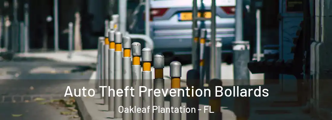 Auto Theft Prevention Bollards Oakleaf Plantation - FL