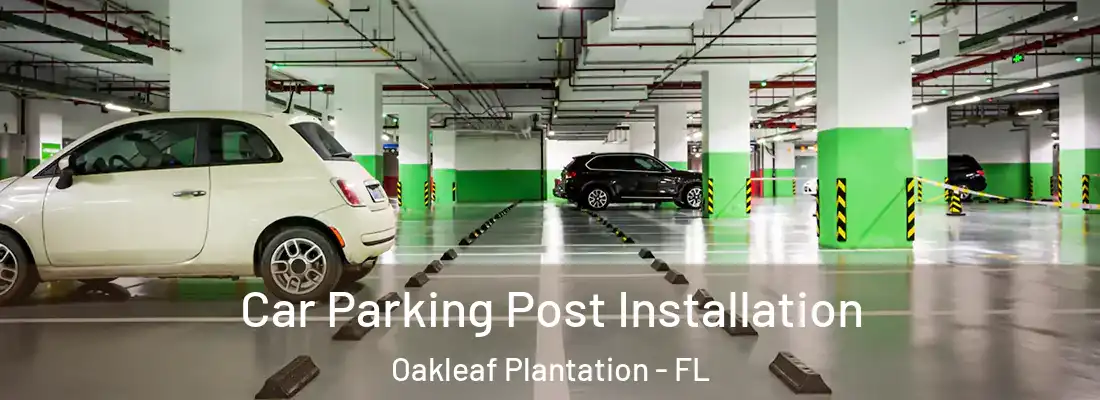 Car Parking Post Installation Oakleaf Plantation - FL