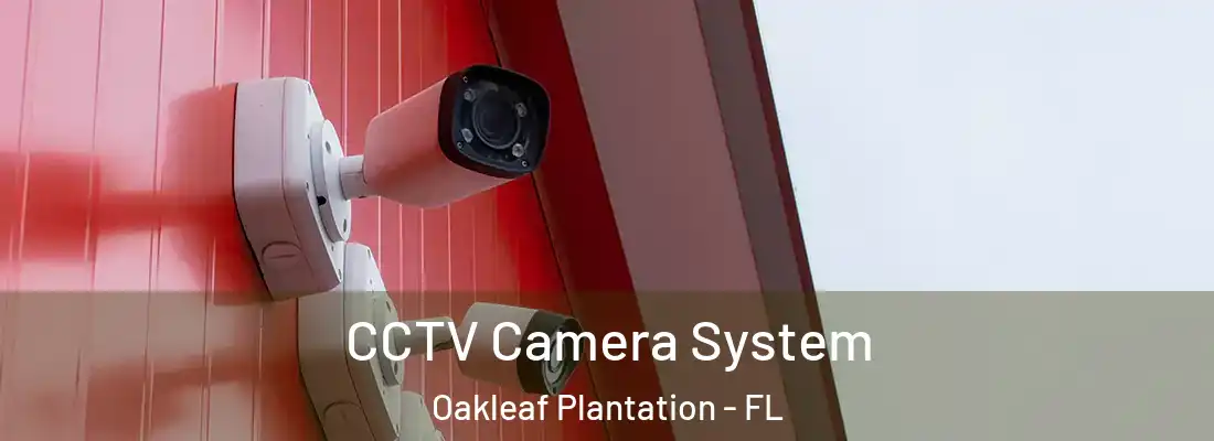 CCTV Camera System Oakleaf Plantation - FL