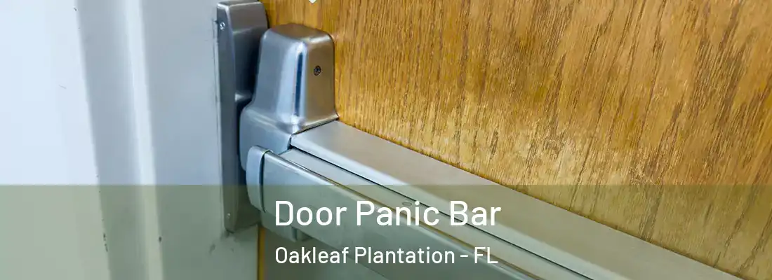 Door Panic Bar Oakleaf Plantation - FL