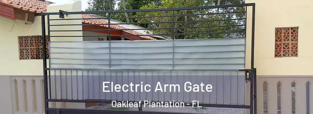 Electric Arm Gate Oakleaf Plantation - FL