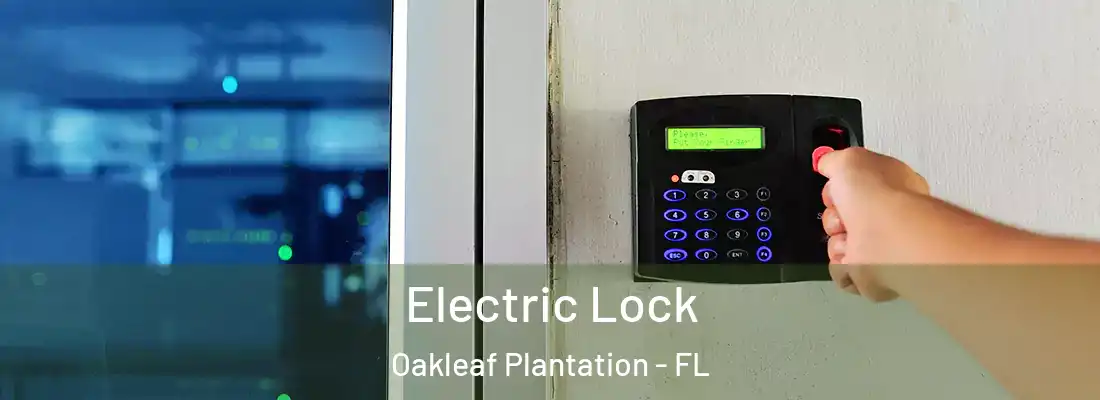  Electric Lock Oakleaf Plantation - FL
