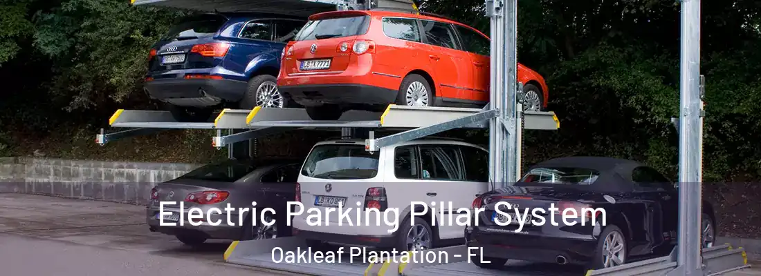 Electric Parking Pillar System Oakleaf Plantation - FL