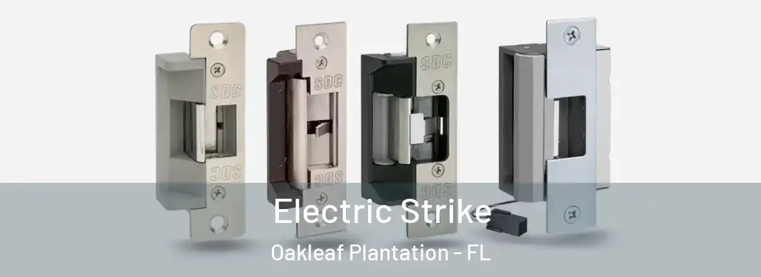 Electric Strike Oakleaf Plantation - FL