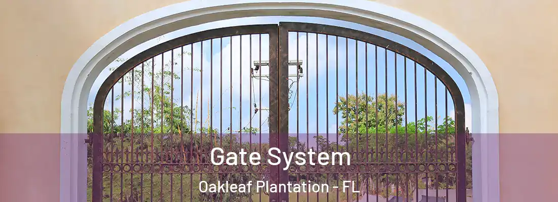  Gate System Oakleaf Plantation - FL