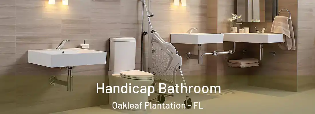 Handicap Bathroom Oakleaf Plantation - FL