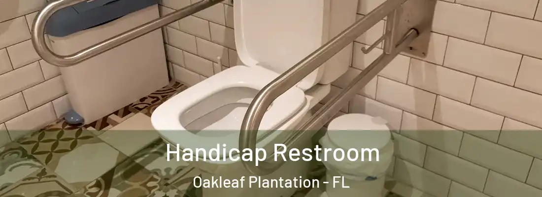  Handicap Restroom Oakleaf Plantation - FL