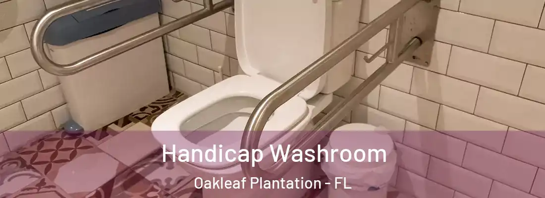 Handicap Washroom Oakleaf Plantation - FL