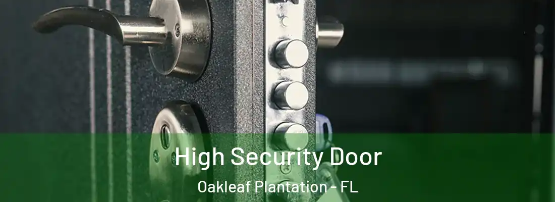  High Security Door Oakleaf Plantation - FL