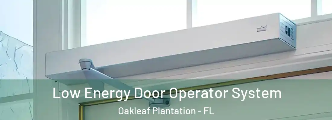 Low Energy Door Operator System Oakleaf Plantation - FL