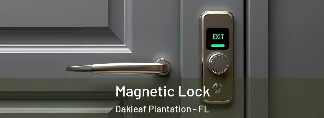  Magnetic Lock Oakleaf Plantation - FL