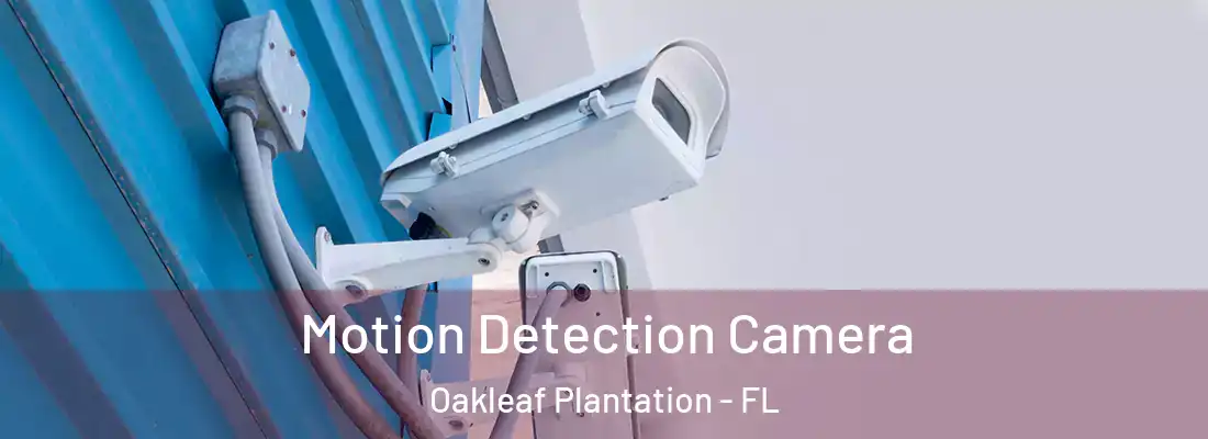Motion Detection Camera Oakleaf Plantation - FL