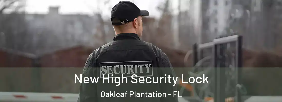 New High Security Lock Oakleaf Plantation - FL