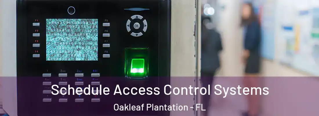 Schedule Access Control Systems Oakleaf Plantation - FL