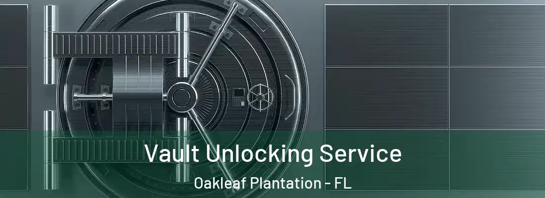 Vault Unlocking Service Oakleaf Plantation - FL